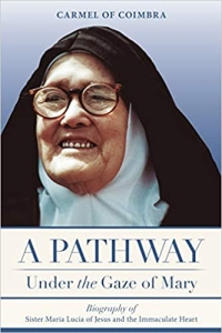 A Pathway - Under the Gaze of Mary